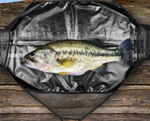 Photographed Fishing Unhooking – обзор и цена Fishing Bag Waterproof
